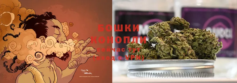 Бошки Шишки Ganja  Заводоуковск 